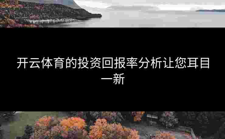 开云体育的投资回报率分析让您耳目一新